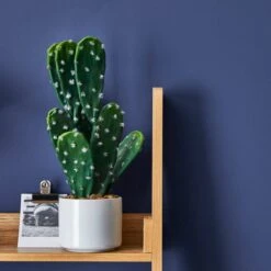 Dunelm Space Blue Matt Emulsion Paint -Dunelm Shop 30741197 alt03