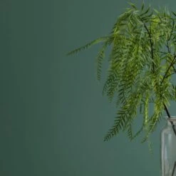 Dorma Mallard Green Matt Emulsion Paint -Dunelm Shop 30771335 alt03