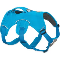 Ruffwear Web Master Harness Blue Dusk